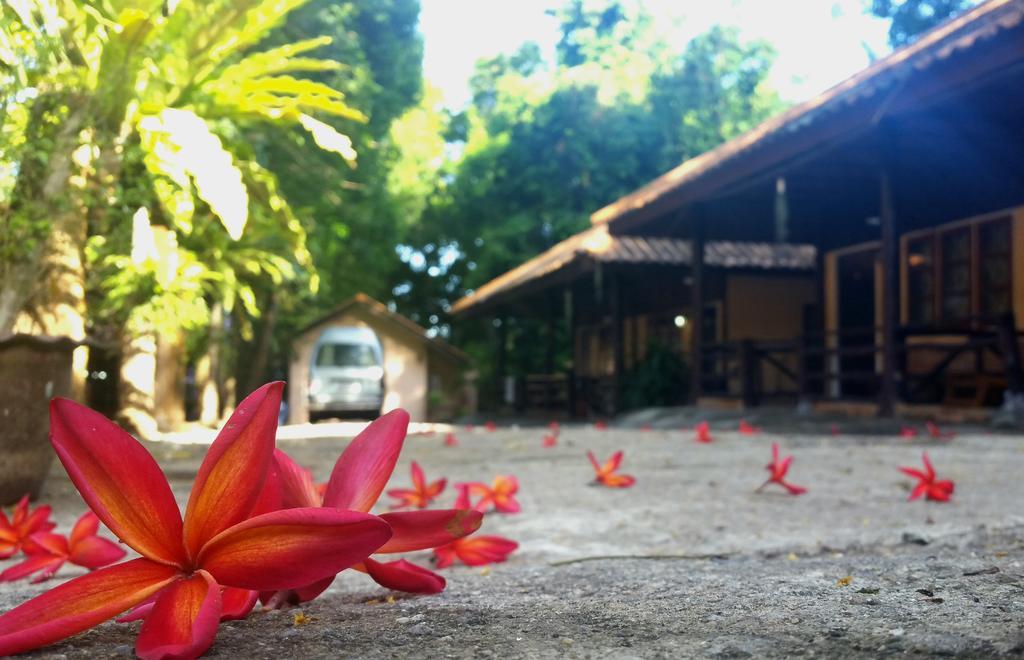 Aonang Guest Home Ao Nang Bagian luar foto